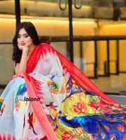 Digital print saree Code DP-6024