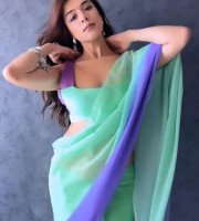 Georgette sharee-GS-515