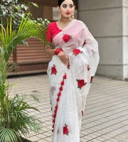 Semi Moslin Embroidery Saree Em-145